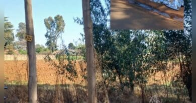 Man dies after being electrocuted by transformer in De Deur